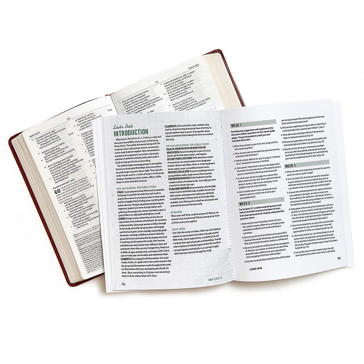 What Love Is - Bible Study Book: the Letters of 1, 2, 3 John (The Living Room Se