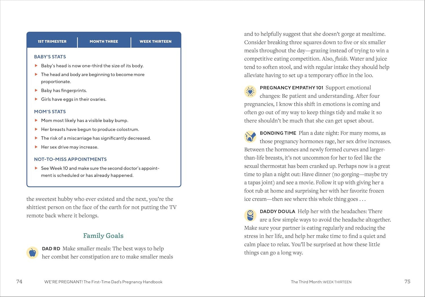 We'Re Pregnant! the First Time Dad'S Pregnancy Handbook