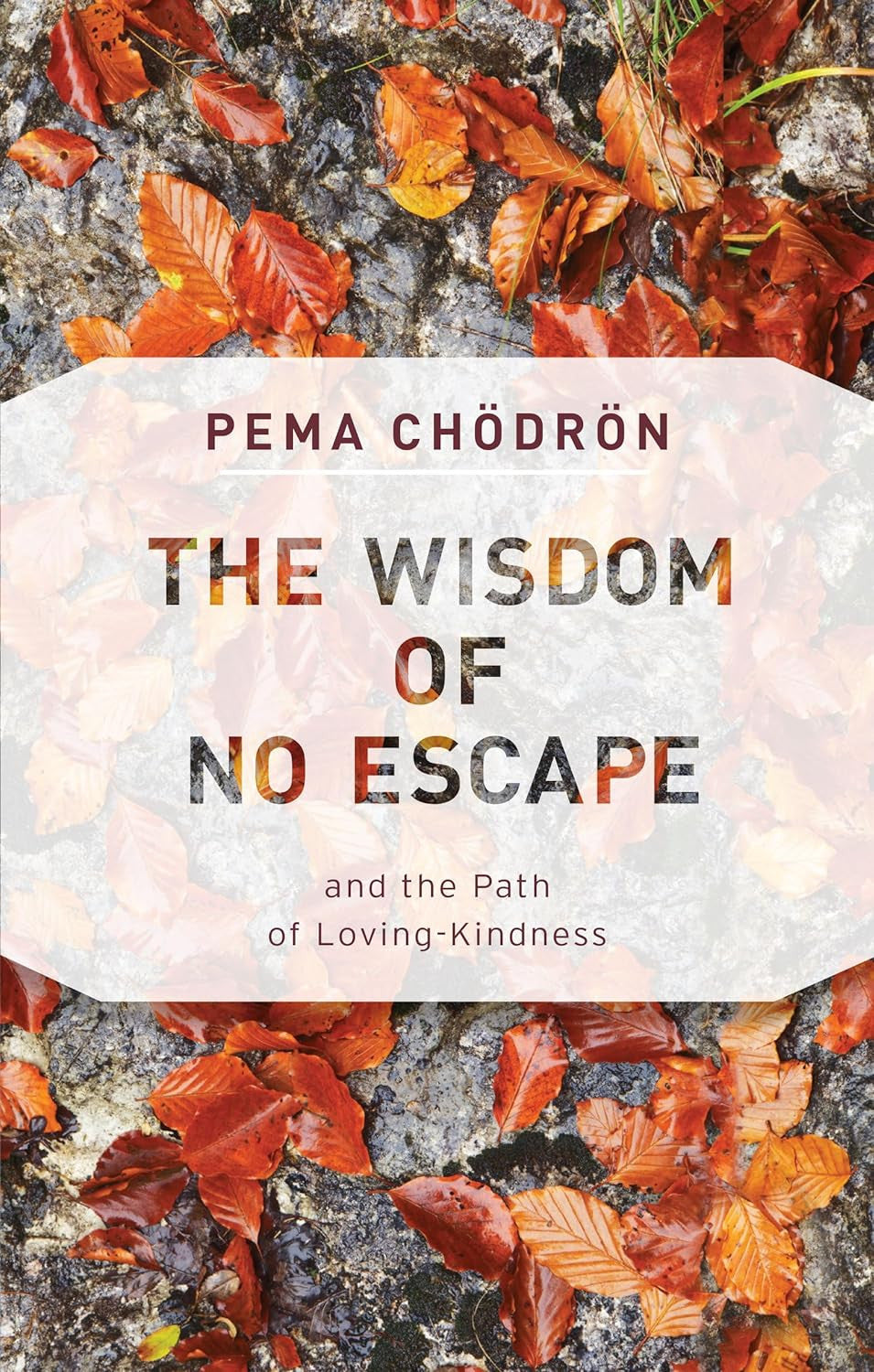 The Wisdom of No Escape: and the Path of Loving-Kindness