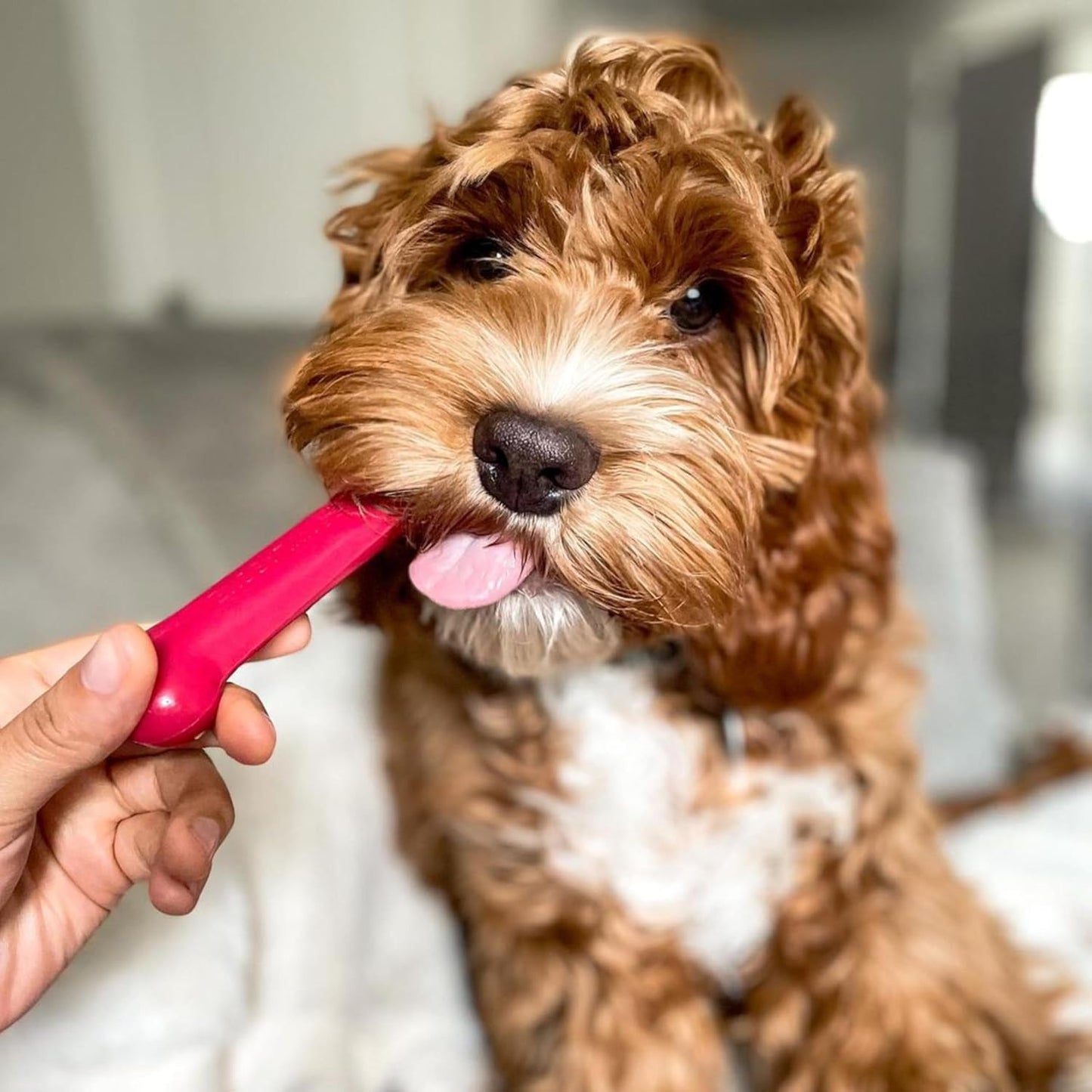 Original Bone Power Chew Toy for Dogs, Durable Dog Toys for Aggressive Chewers,