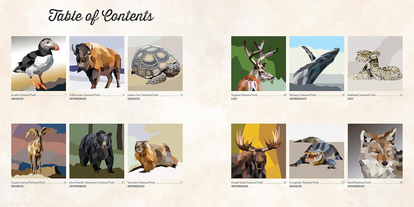 National Parks of North America Amazing Animals Sticker Painting Book: 12 Super