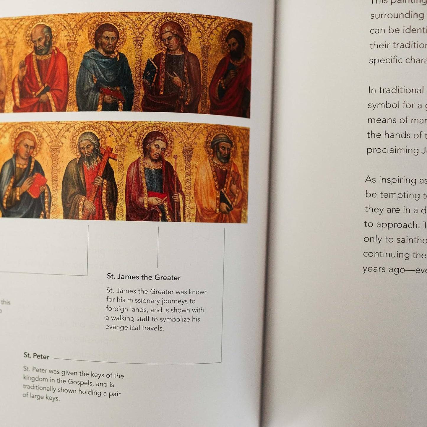 The Word on Fire Bible (Volume I): the Gospels (Paperback) (Word on Fire Bible S