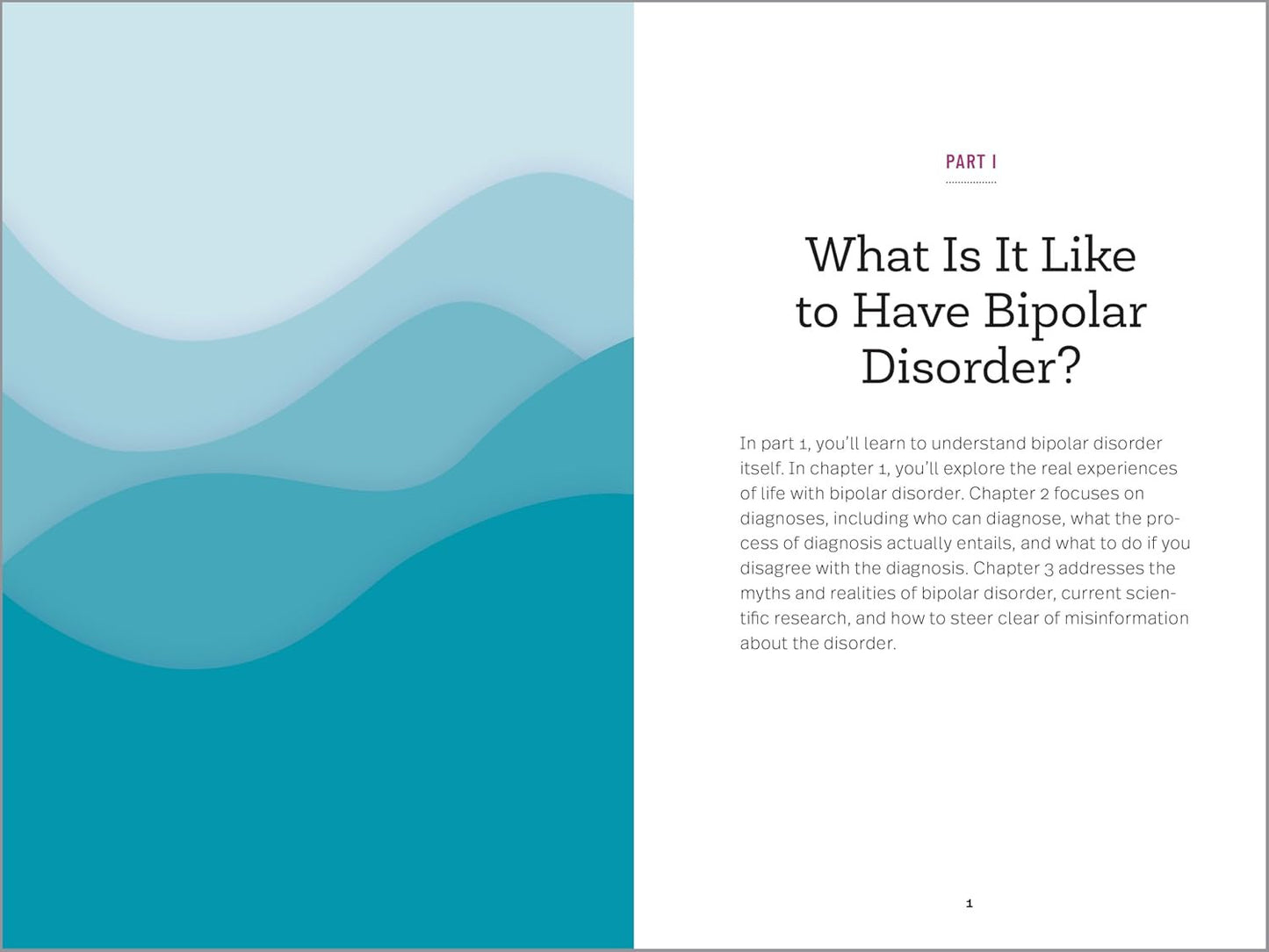 Understanding Bipolar Disorder: the Essential Family Guide