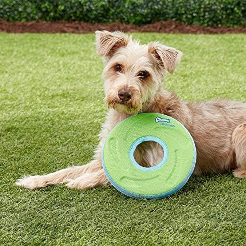Zipflight Flying Disc Dog Toy, Medium (8.5"), Orange and Blue