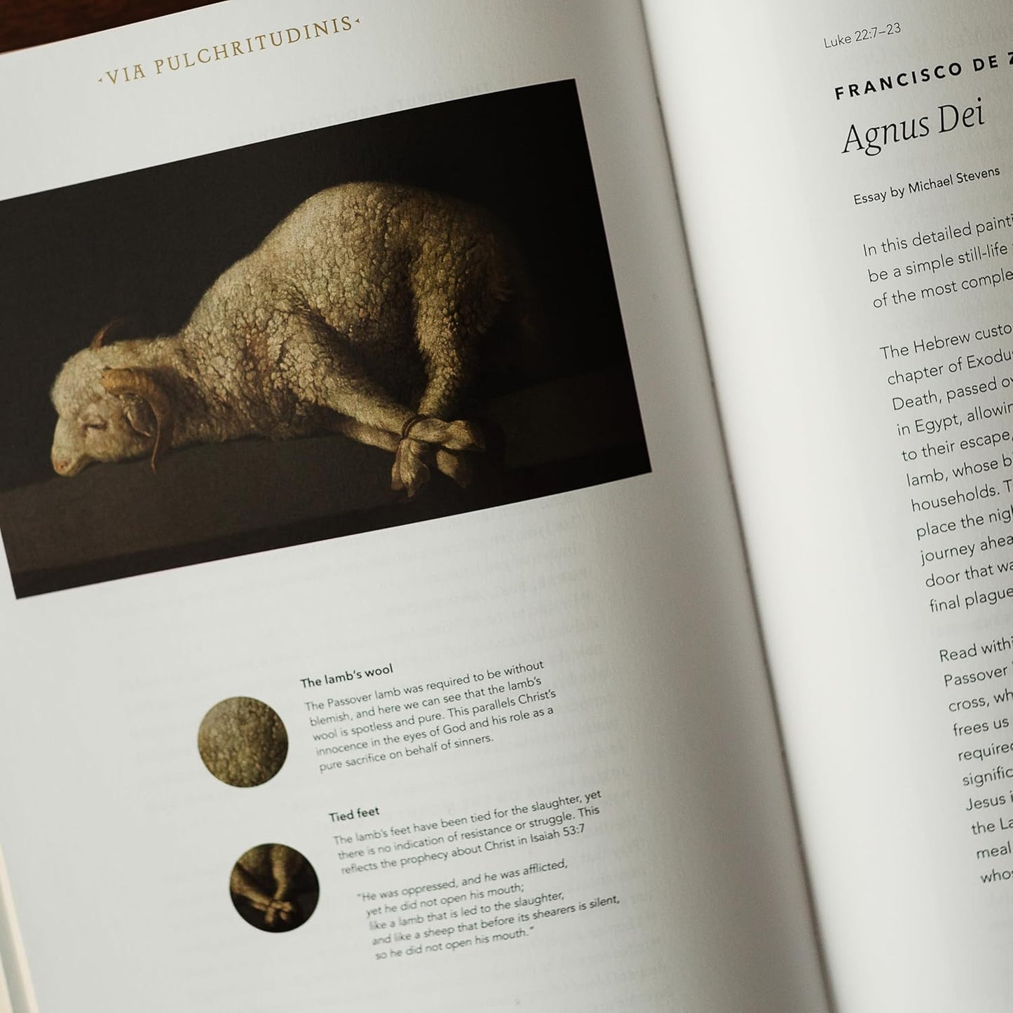 The Word on Fire Bible (Volume I): the Gospels (Paperback) (Word on Fire Bible S