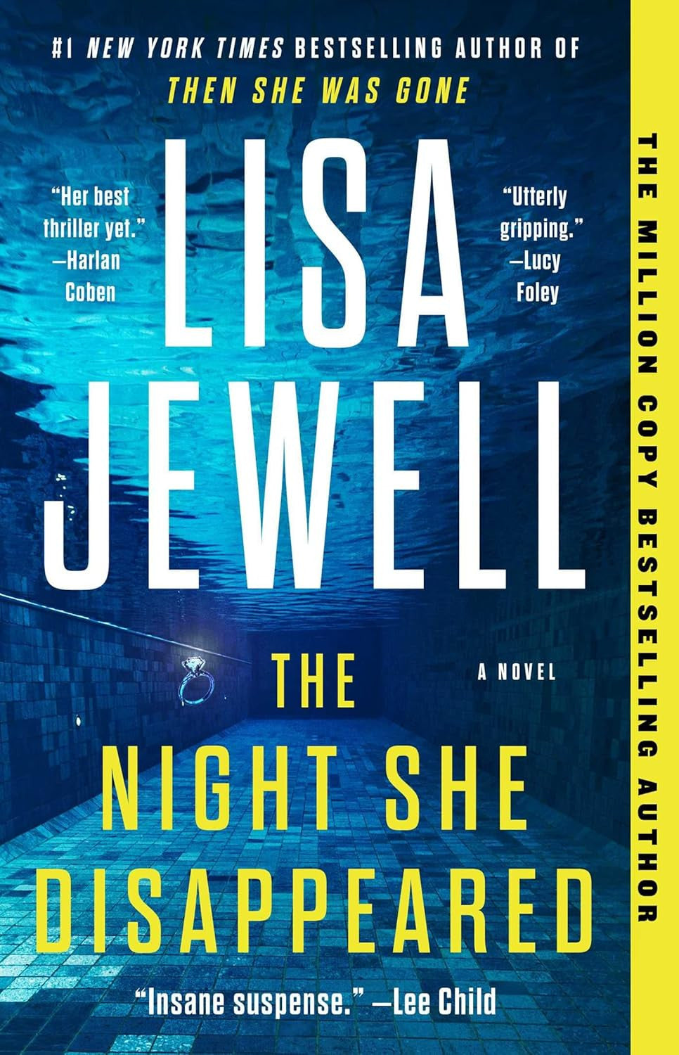 The Night She Disappeared: a Novel