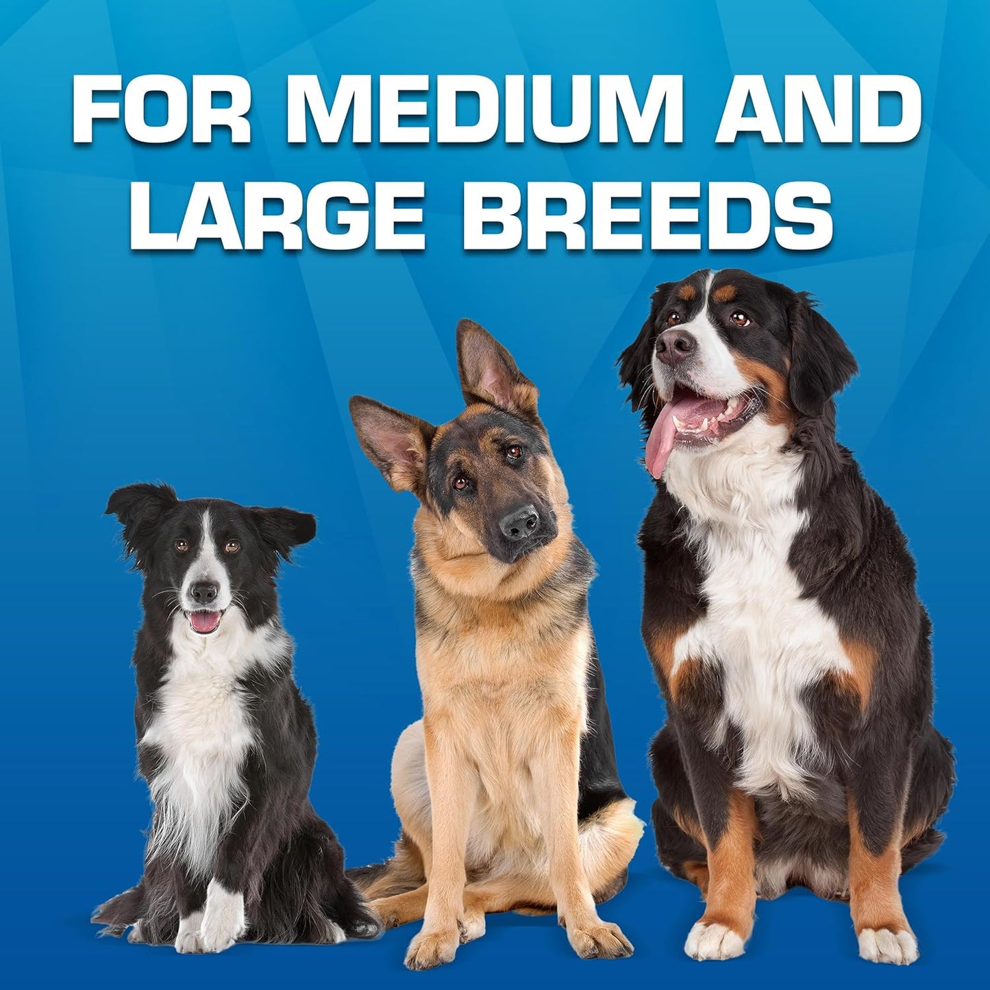 Trackshot Launching Duck Dog Toy, 16.5 Dog Fetch Toy for Medium and Large Breeds