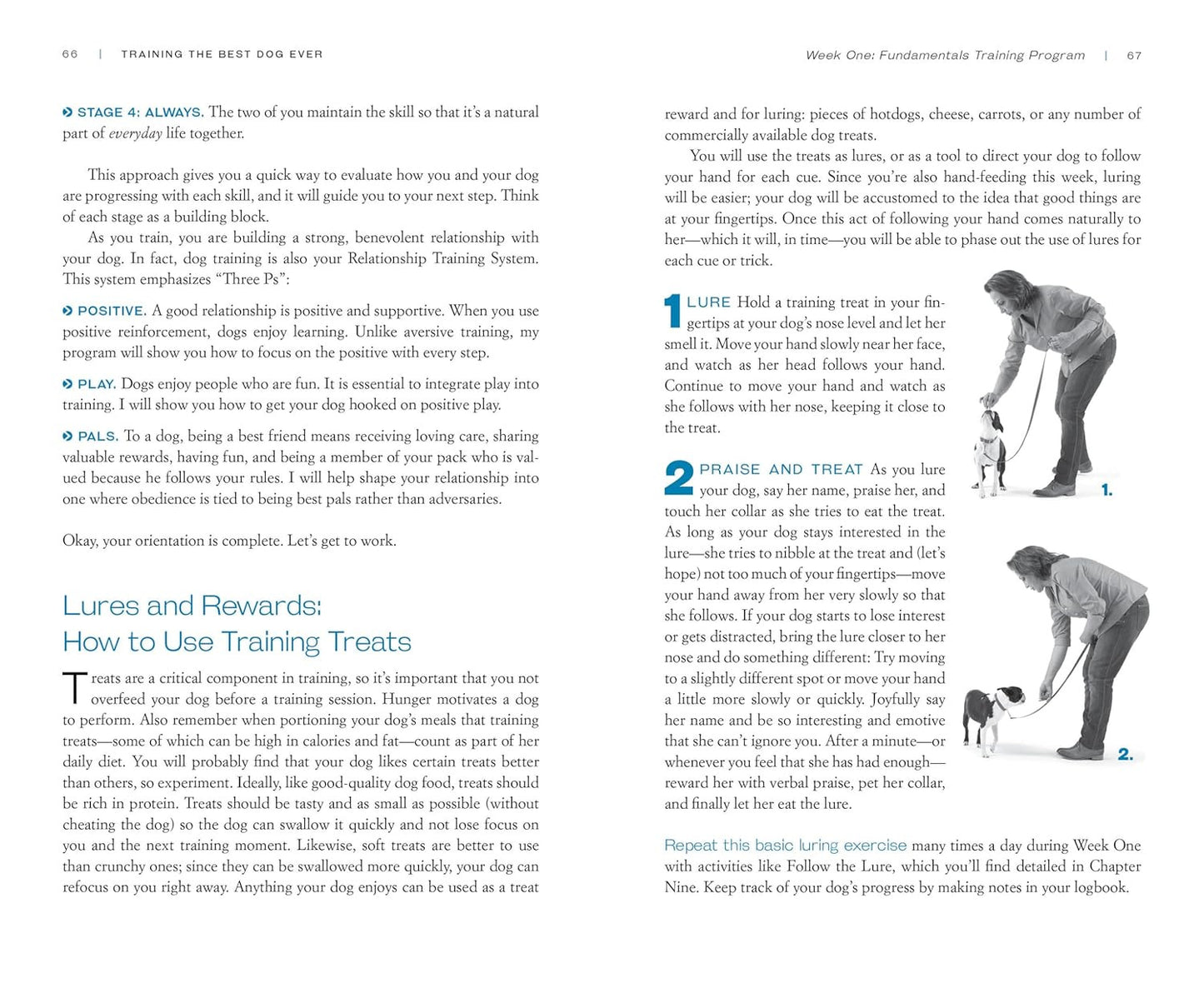 Training the Best Dog Ever: a 5-Week Program Using the Power of Positive Reinfor