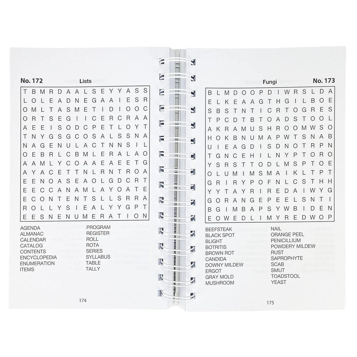Word Search Puzzles (Big Book of Puzzles) (Brain Busters)