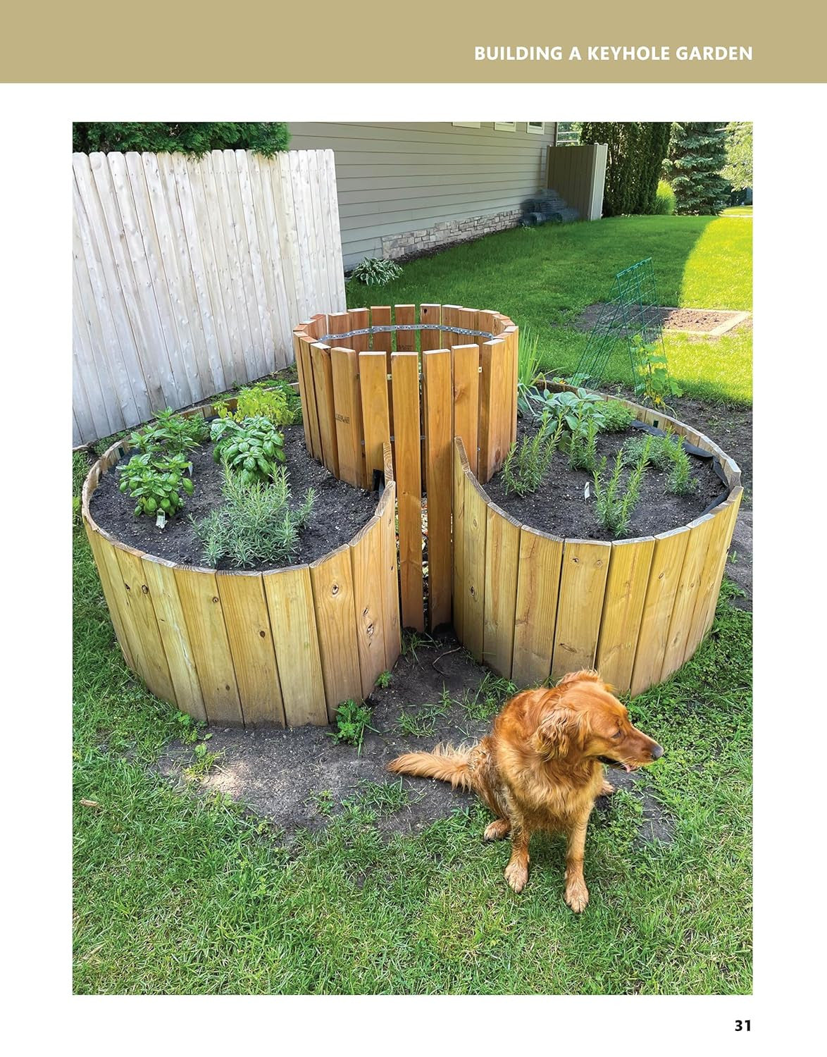 50 Projects for Building Your Backyard Homestead, Updated Edition: a Hands-On, S