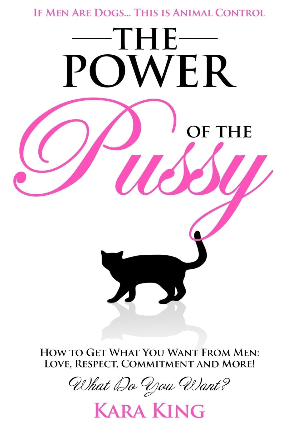 The Power of the Pussy: Get What You Want from Men: Love, Respect, Commitment an
