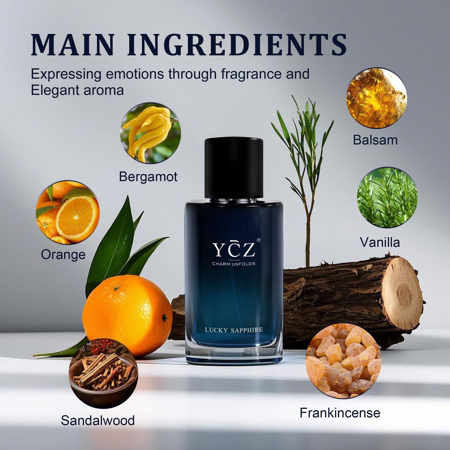 Ycz CLUB GENT'S AROMA, 1.7oz(50ml), Man Perfume, Nightclub Essential Fragrance, Long Lasting Cologne for Men with Aromatic Woody Notes of Aldehyde, Ginger, Mint, and Lemon