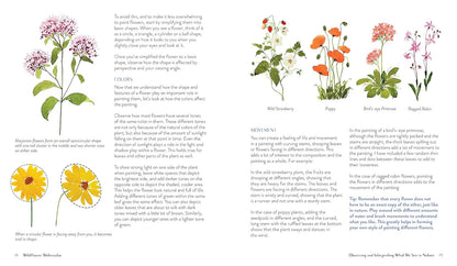 Wildflower Watercolor: the Beginner’S Guide to Painting Beautiful Florals