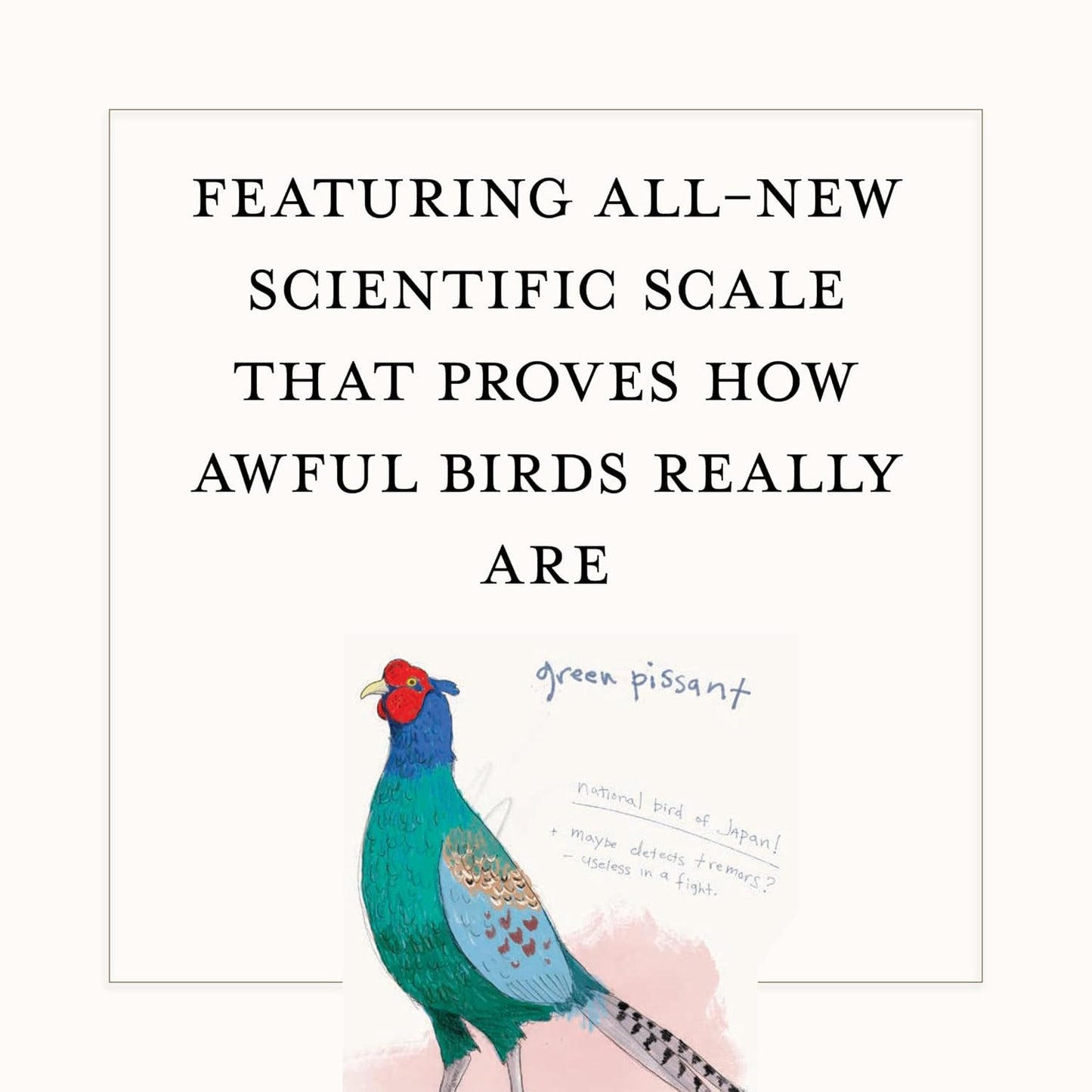 A Dumb Birds Field Guide to the Worst Birds Ever