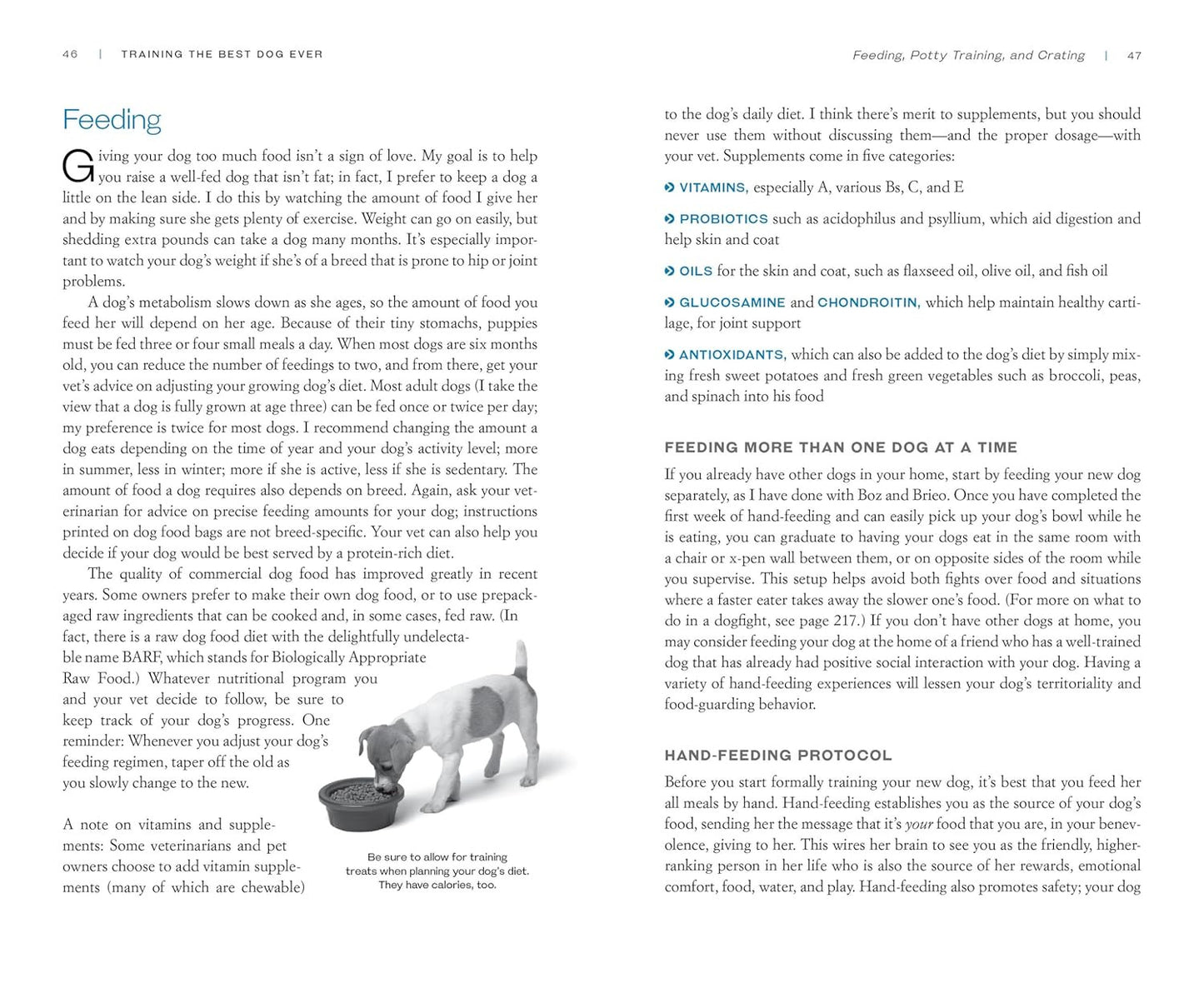 Training the Best Dog Ever: a 5-Week Program Using the Power of Positive Reinfor