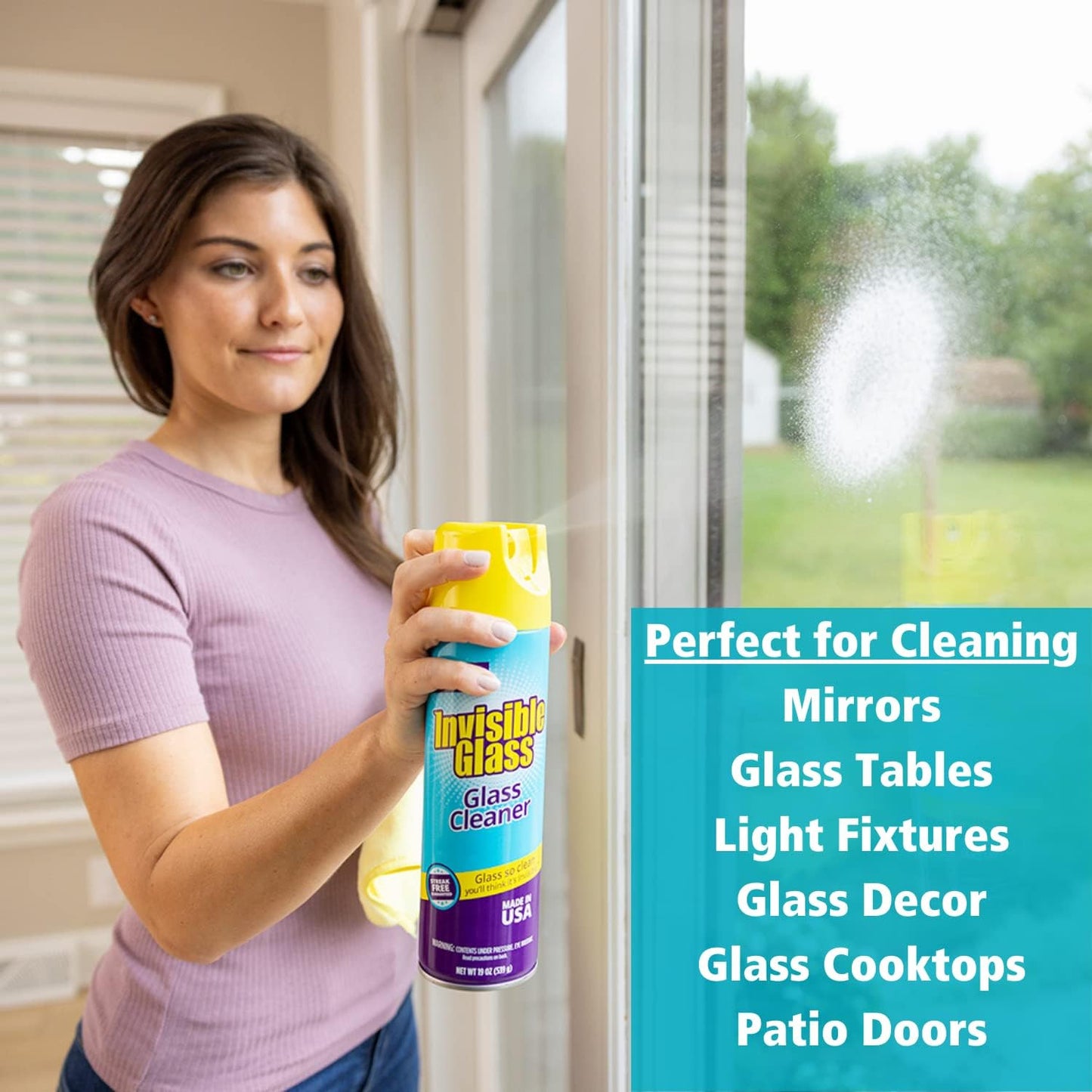 91160 Premium Glass and Window Cleaner for Auto and Home Cleans Glass, Windows,