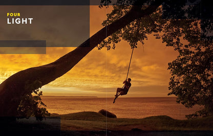 National Geographic Photo Basics: the Ultimate Beginner'S Guide to Great Photogr