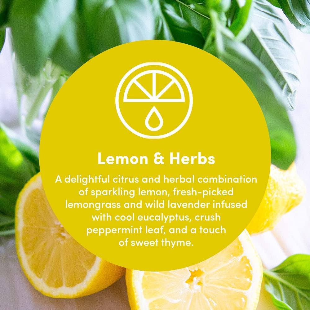 Multi Surface Cleaner Refill Supply, Non-Toxic, Eco-Friendly & Plant-Based, Read