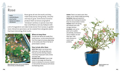 The Bonsai Beginner'S Bible