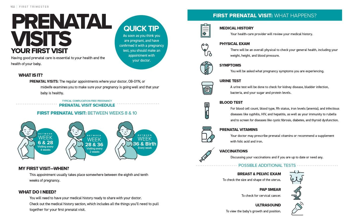 The Simplest Pregnancy Book in the World: the Illustrated, Grab-And-Do Guide for