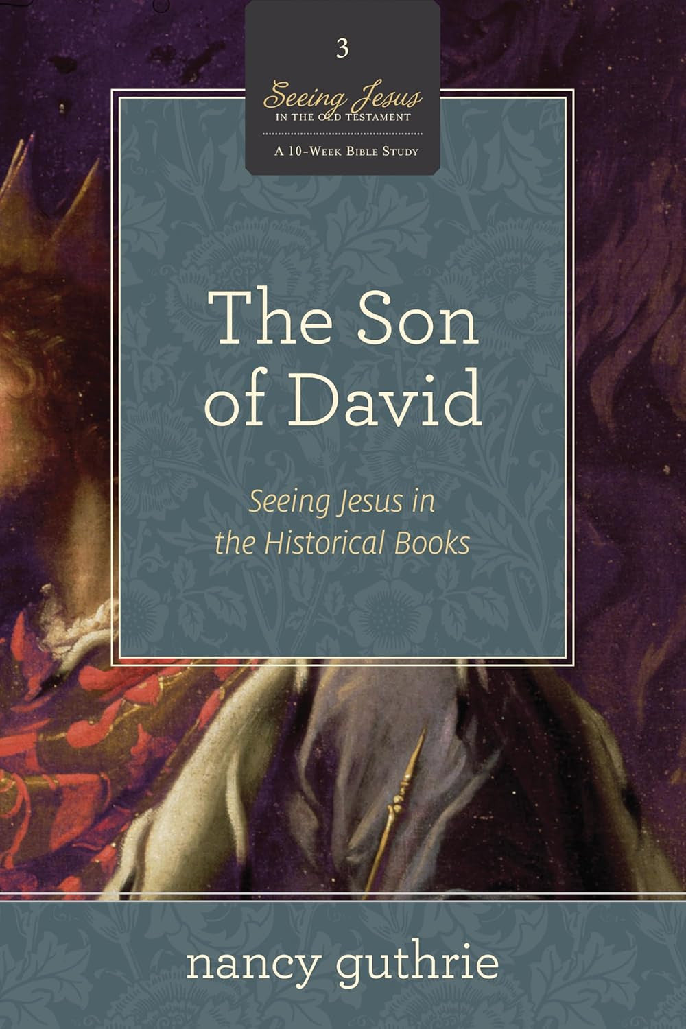 The Son of David: Seeing Jesus in the Historical Books (A 10-Week Bible Study) (