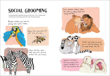 Wildlife Anatomy: the Curious Lives & Features of Wild Animals around the World
