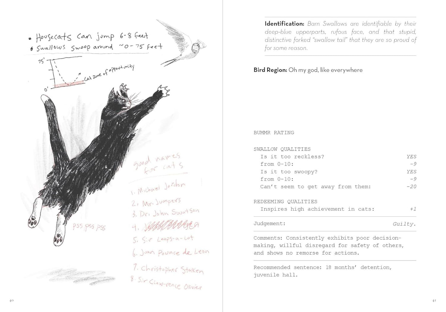 A Dumb Birds Field Guide to the Worst Birds Ever