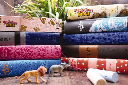 NIV, Adventure Bible, Paperback, Full Color