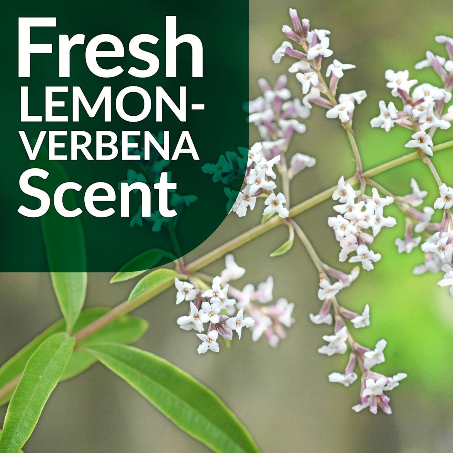 Multi-Surface Floor Care - Cleans Hardwood, Vinyl, Laminate, Tile, Concrete and