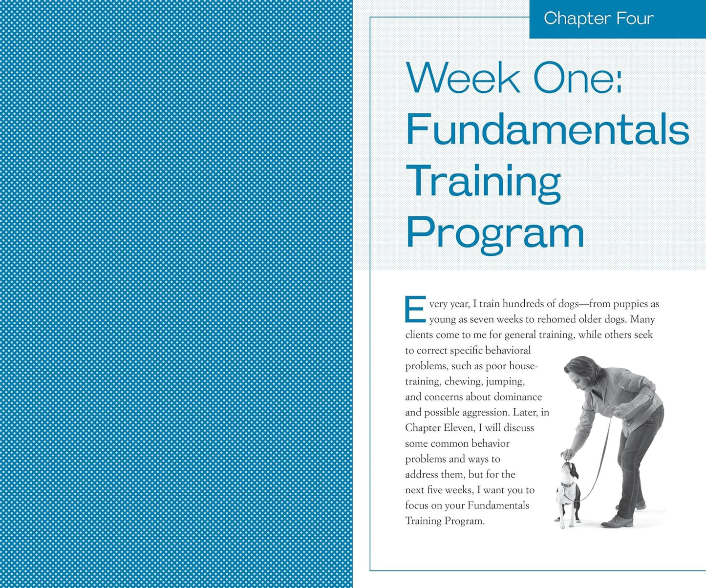 Training the Best Dog Ever: a 5-Week Program Using the Power of Positive Reinfor