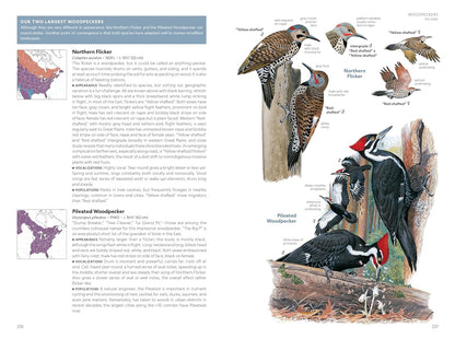 National Geographic Field Guide to the Birds of the United States and Canada―Eas