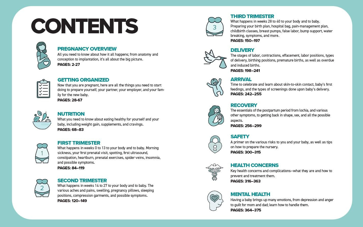 The Simplest Pregnancy Book in the World: the Illustrated, Grab-And-Do Guide for