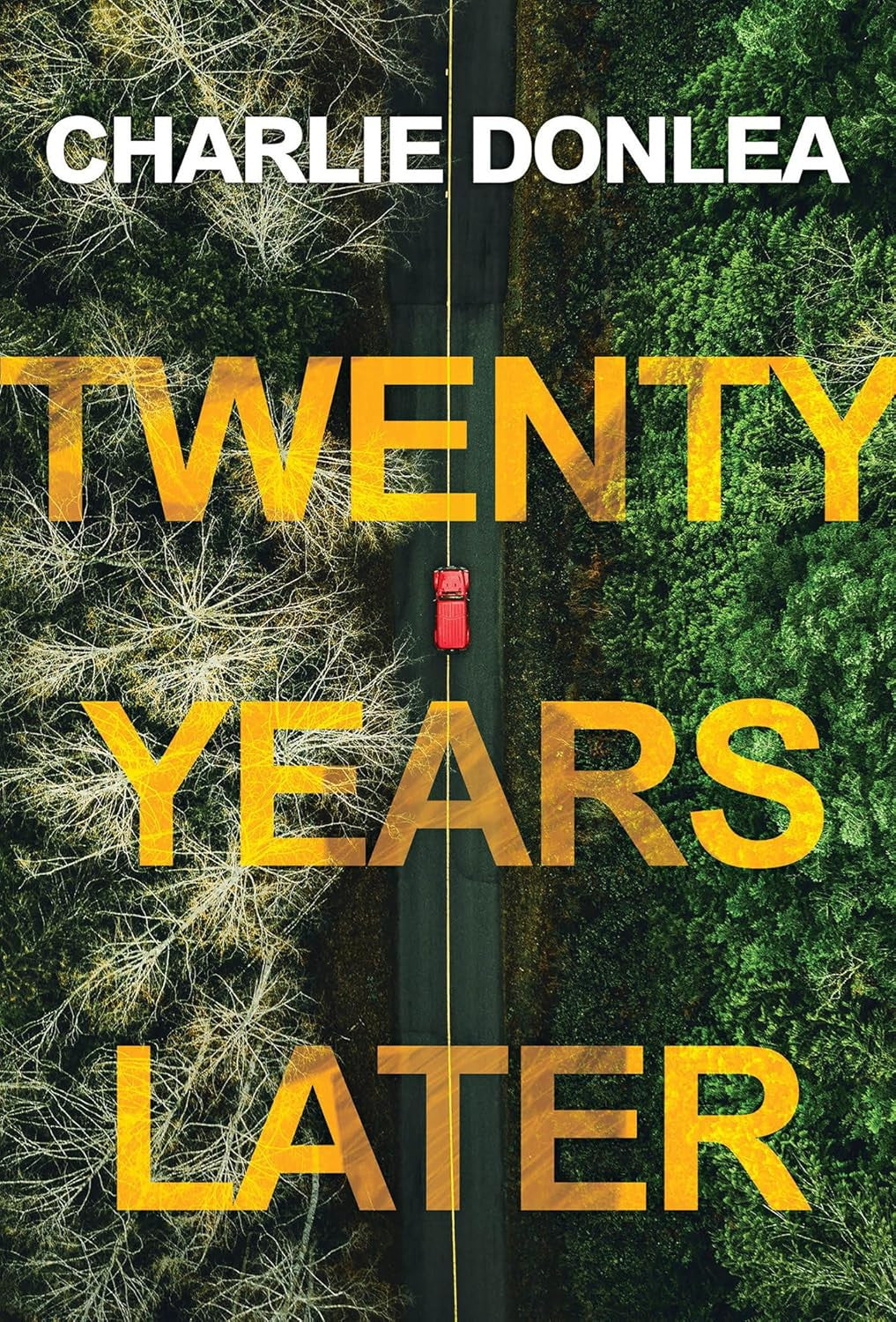 Twenty Years Later: a Riveting New Thriller