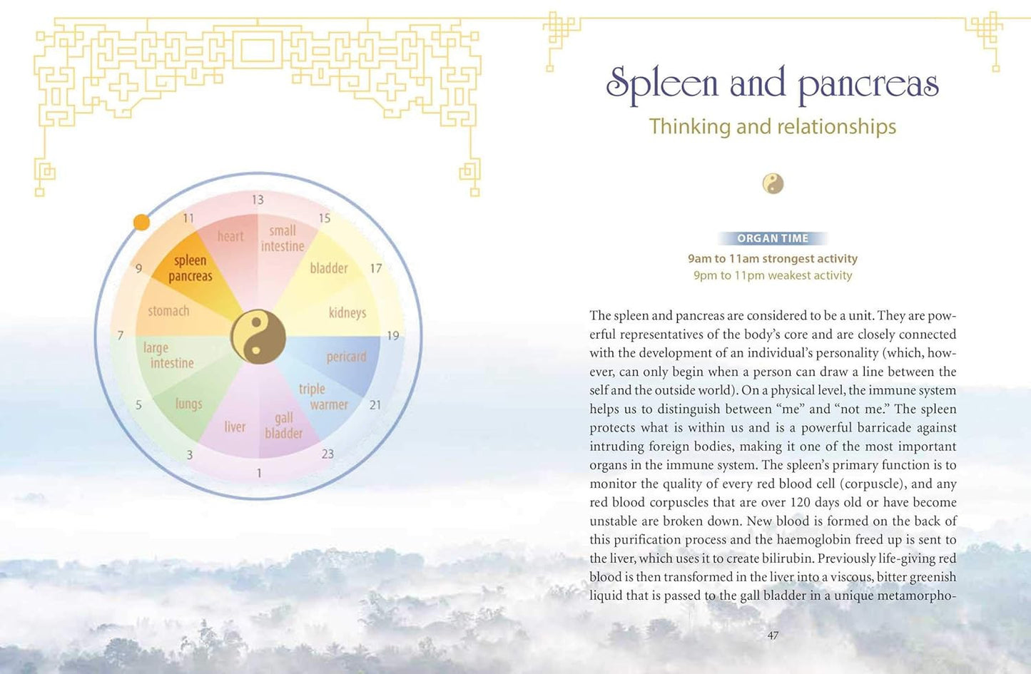 The Body Clock in Traditional Chinese Medicine: Understanding Our Energy Cycles