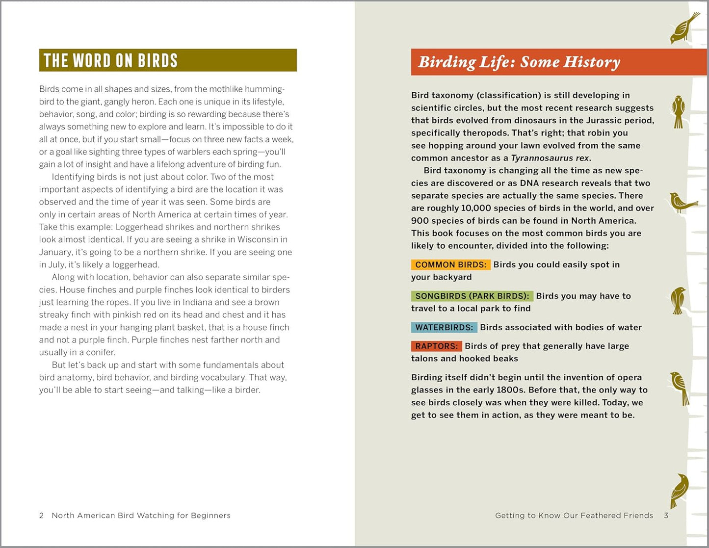 North American Bird Watching for Beginners: Field Notes on 150 Species to Start