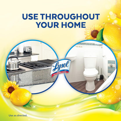 Multi-Surface Cleaner, Sanitizing and Disinfecting Pour, to Clean and Deodorize,