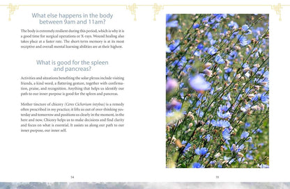 The Body Clock in Traditional Chinese Medicine: Understanding Our Energy Cycles