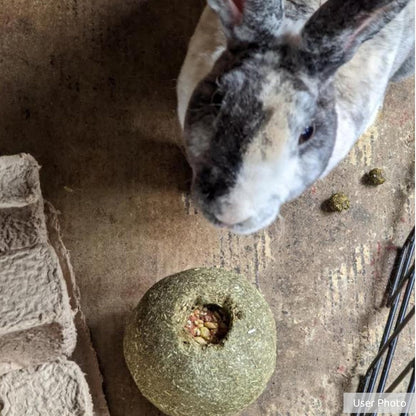 Timothy Roll 'N' Toss Toy and Treat for Pet Rabbits, Guinea Pigs, and Chinchilla