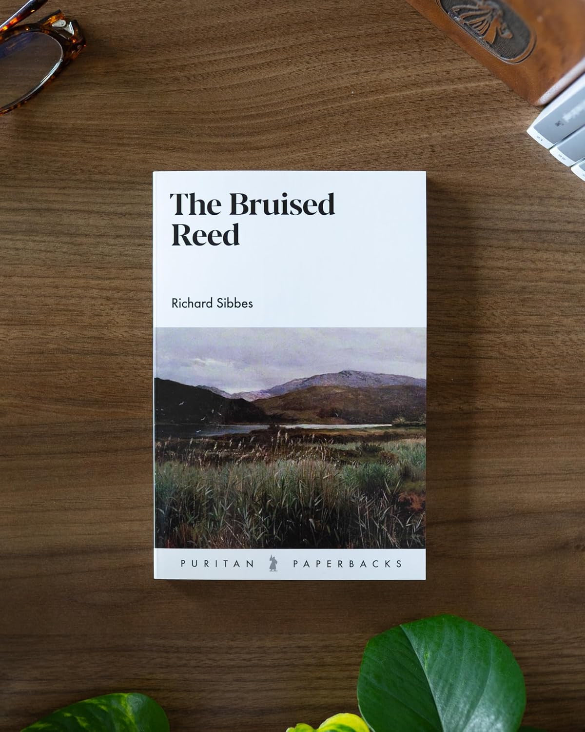 The Bruised Reed (Puritan Paperbacks)