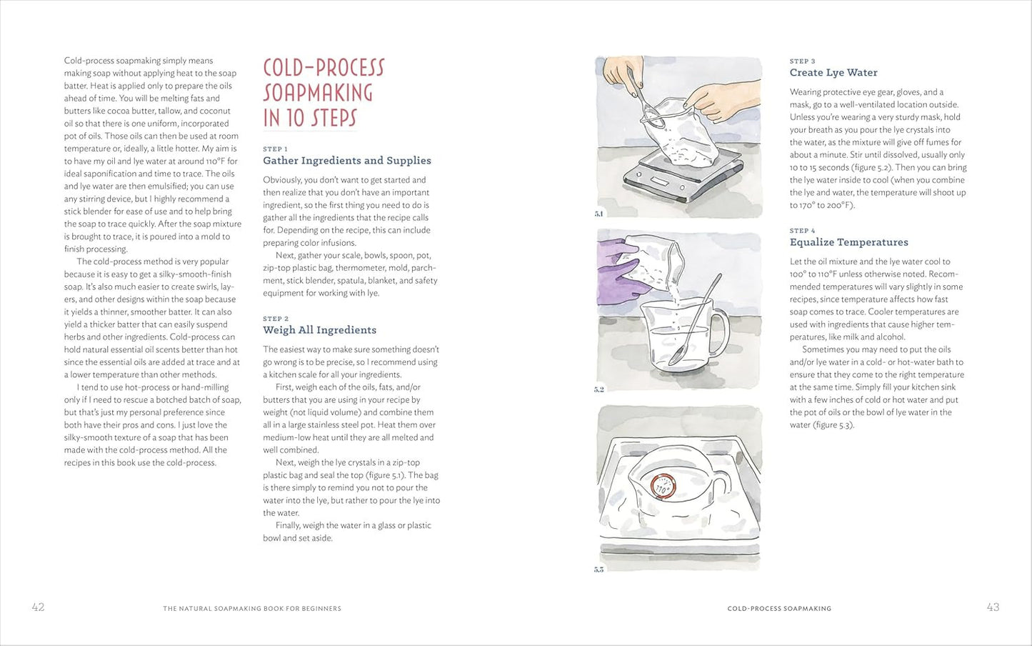 The Natural Soap Making Book for Beginners: Do-It-Yourself Soaps Using All-Natur