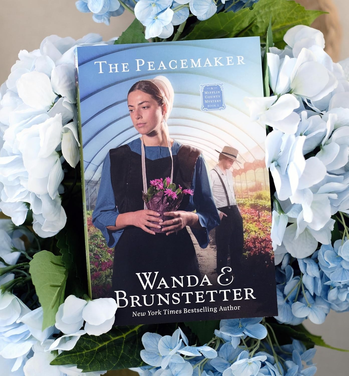 The Peacemaker (A Mifflin County Mystery, 2)