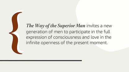 The Way of the Superior Man: a Spiritual Guide to Mastering the Challenges of Wo