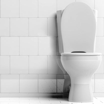 One-Drop Powerful Deodorizer, Before-You-Go Toilet Drops, 0.67 Fl Oz*- Mint Scen