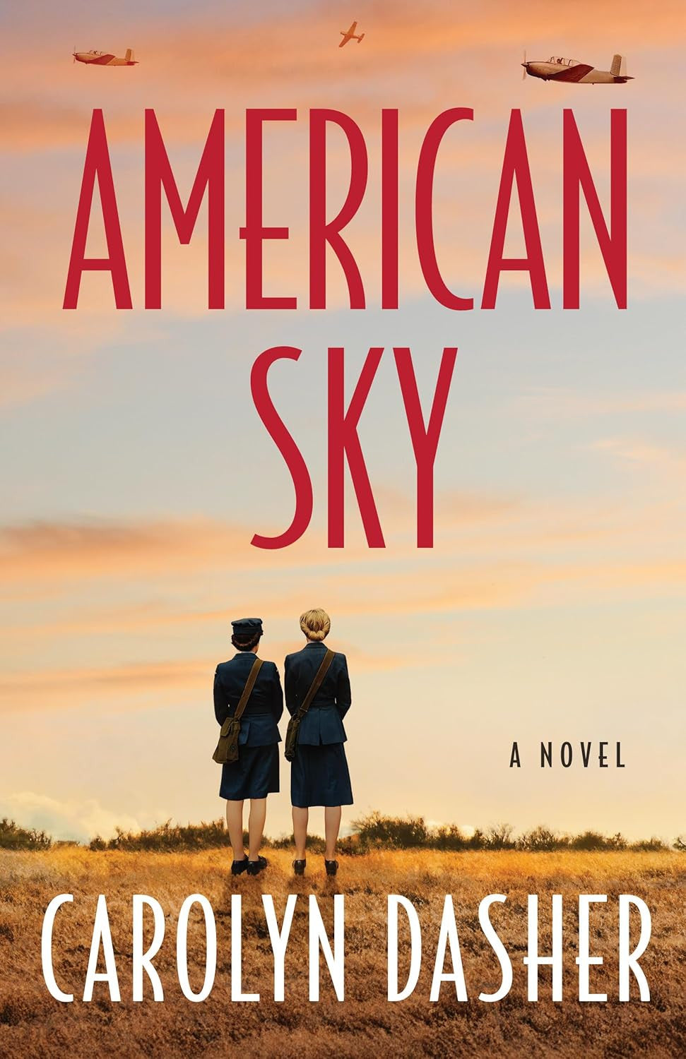 American Sky: a Novel