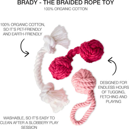 3-Pack Organic Cotton Dog Rope Pull Toys for All Pet Breeds, Pink Ombre, One Siz