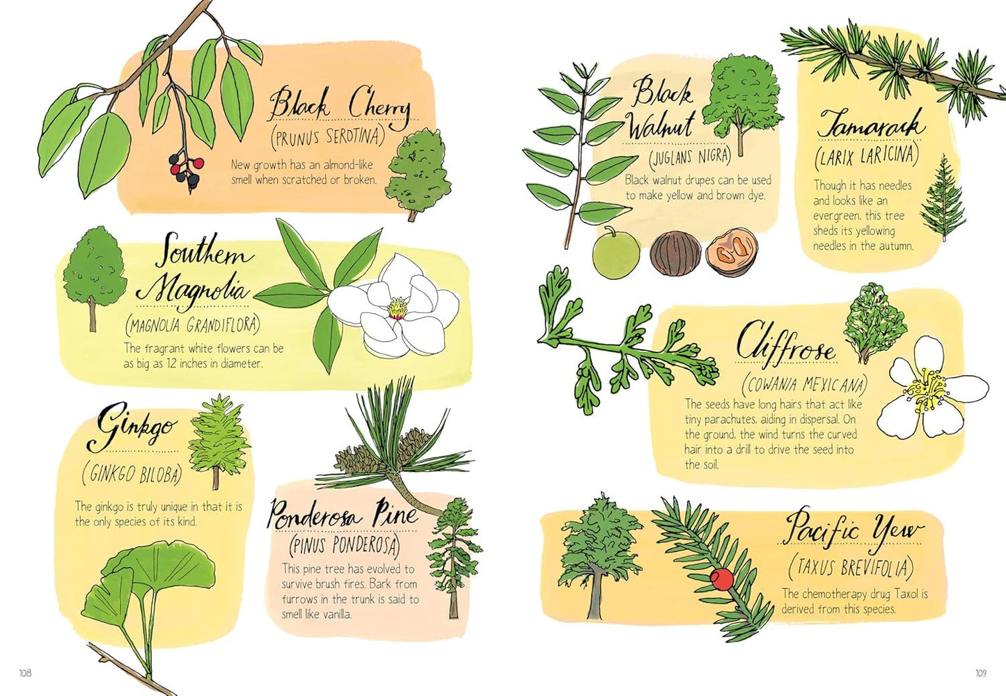 Nature Anatomy: the Curious Parts and Pieces of the Natural World