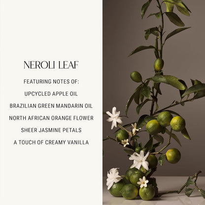 All-Purpose Surface Cleaner Spray, Lifts Away Dirt, Smudges & Grease, for Bathro