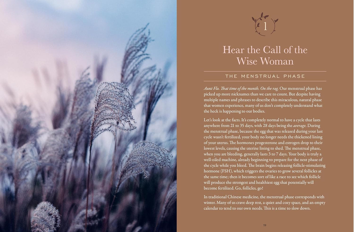 The Moon Cycle Cookbook: a Holistic Nutrition Guide for a Well-Balanced Menstrua