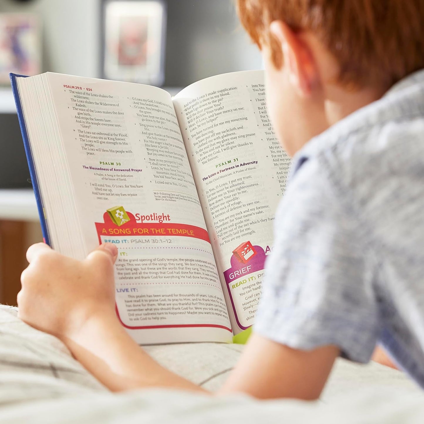 NKJV Study Bible for Kids, Softcover: the Premier Study Bible for Kids