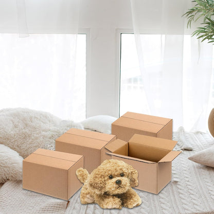 75 Pack Small Shipping Boxes Corrugated Cardboard Mailing Boxes Small Mailing Pa